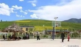 青海农村最新爆料消息,揭秘乡村振兴背后的故事